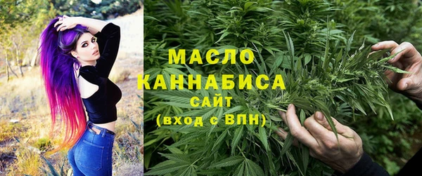 индика Ростов