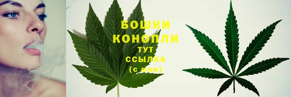 дмт Россошь
