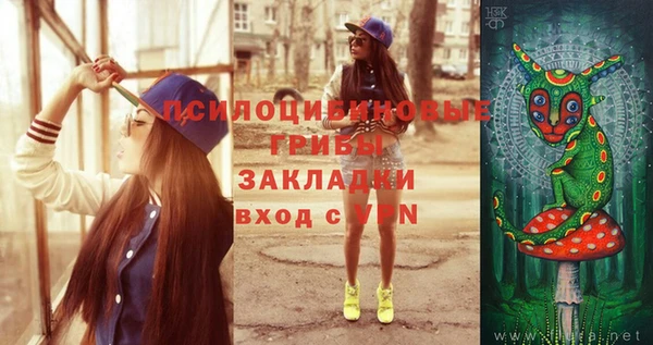 a pvp Рославль