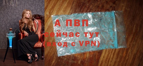 индика Ростов