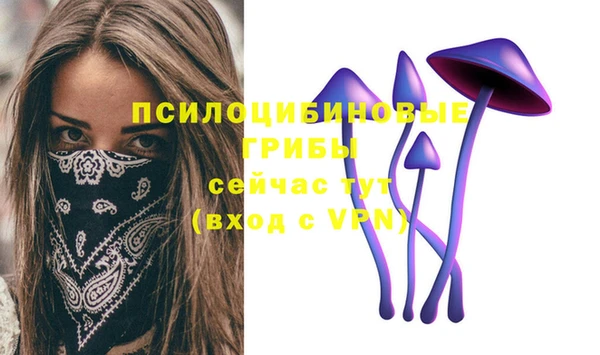 а пвп мука Гвардейск